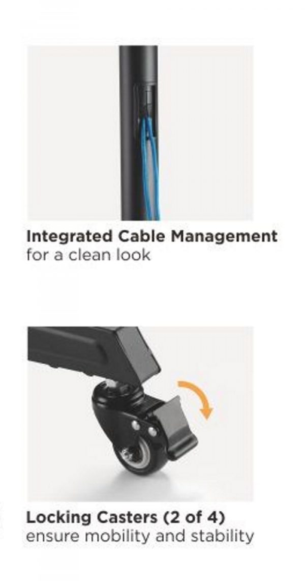 Support standard pour écran TV, mobile - réglable en hauteur et inclinable - 166 cm de hauteur - VDD World